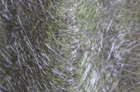 Carperby fibreglass roof work