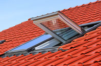 Carperby roof window