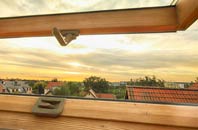 rated Carperby roof window companies